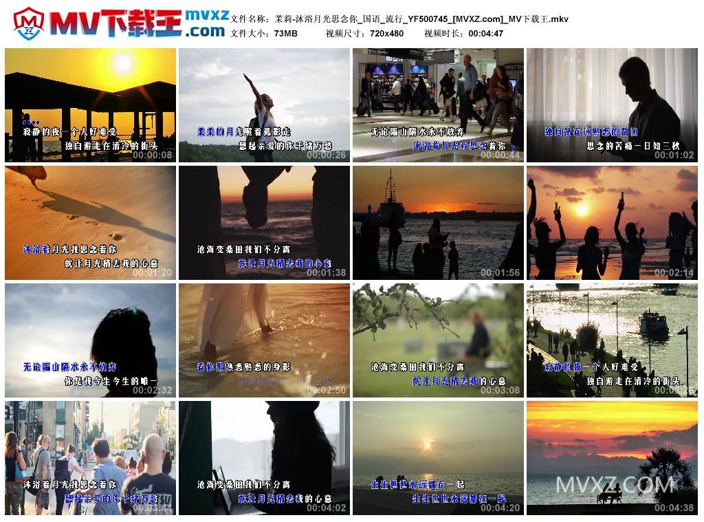 茉莉-沐浴月光思念你_国语_流行_YF500745